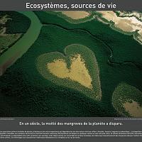 P2006 06 ecosystemes 